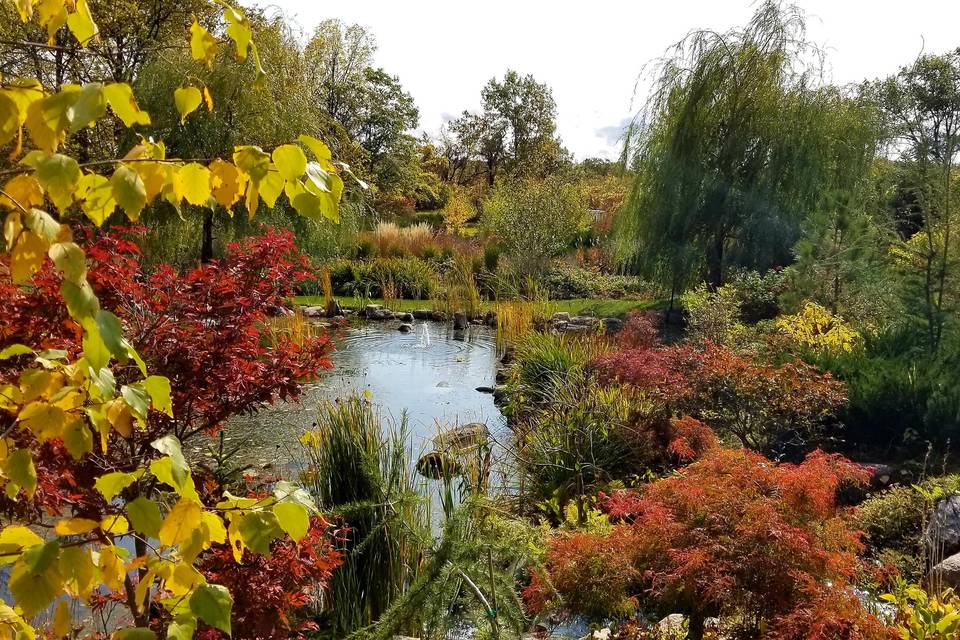 Fall at the Pond