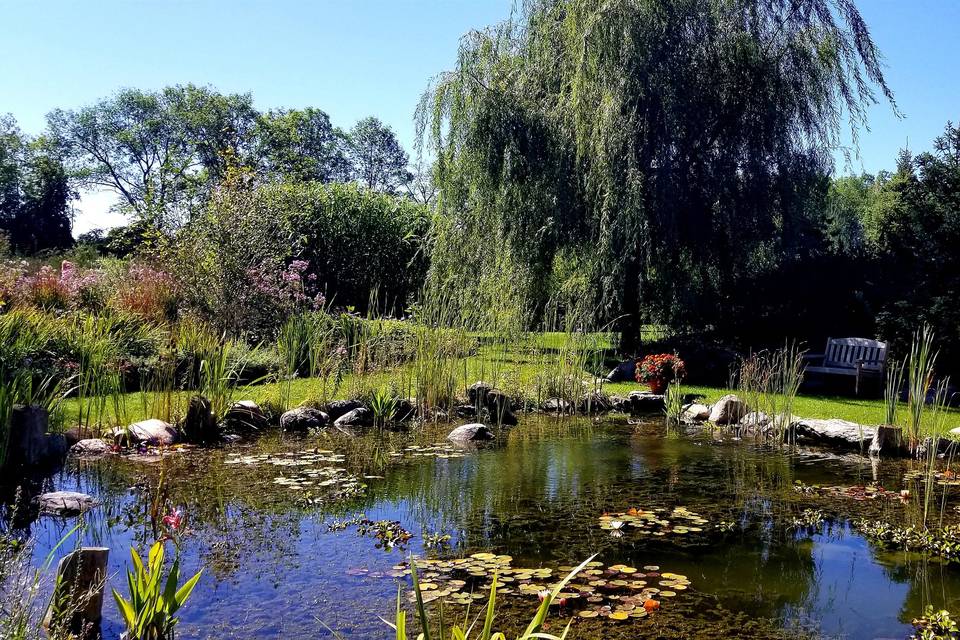 Bridge to Pond