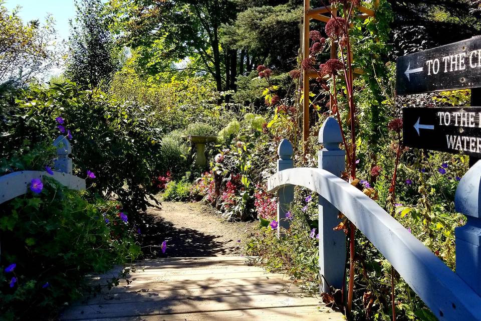 Bridge to Pond