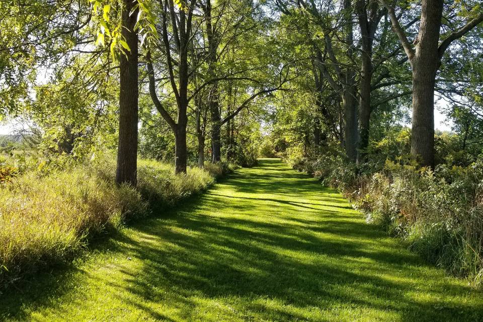 The Walnut Walk