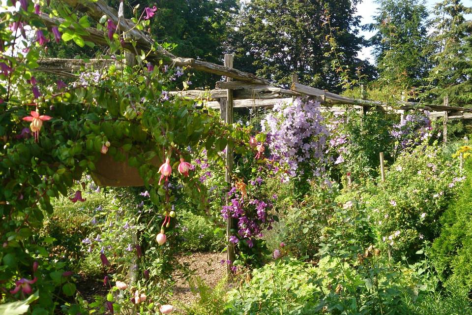 Courtyard Gardens