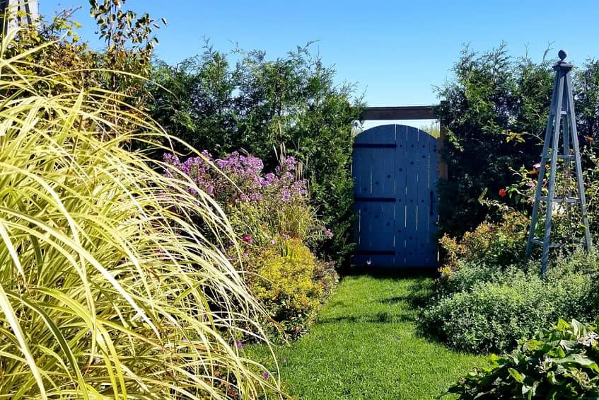 Cottage Garden