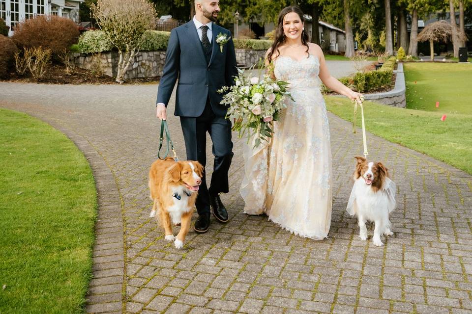 Wedding photo by Natalie Varro