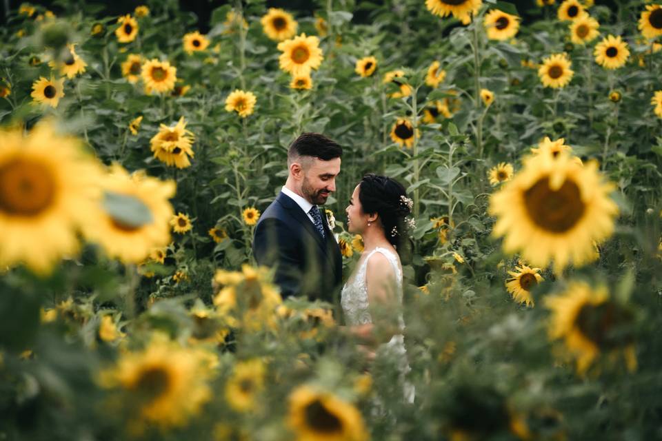 Wedding Photography Sunflowers