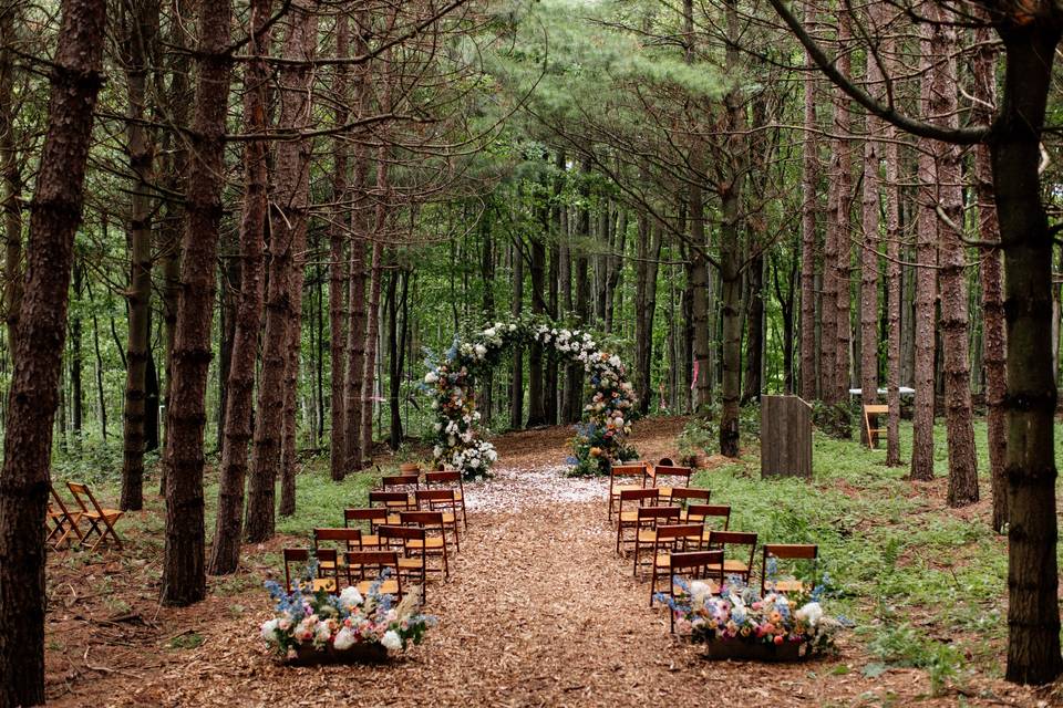 Forest Ceremony