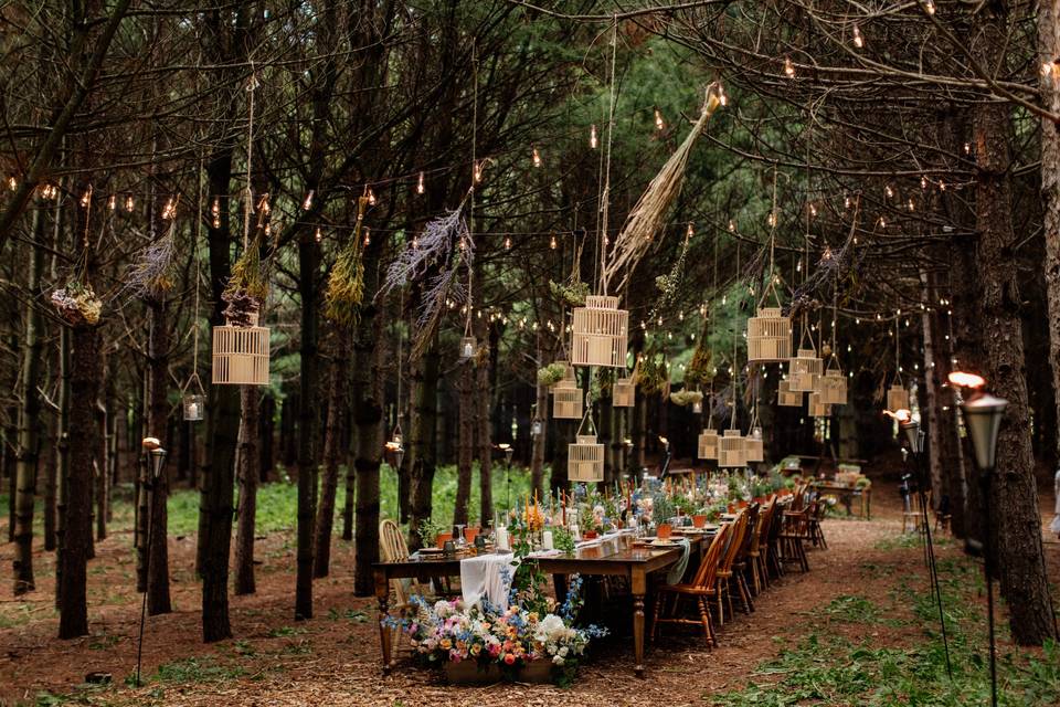 Forest Reception