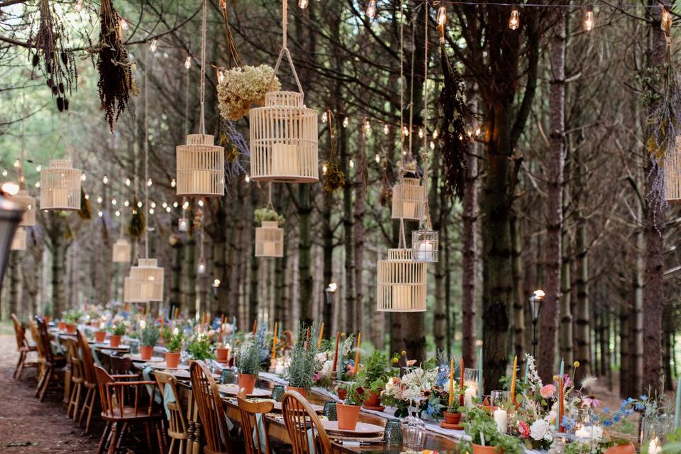 Forest Reception