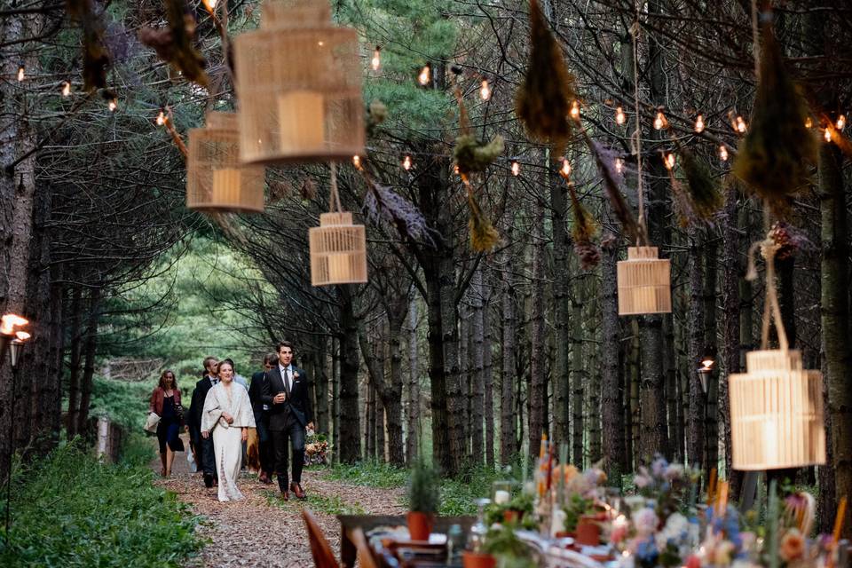 Forest Reception