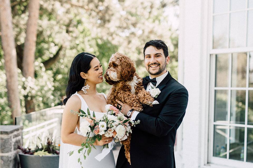 Bride and Groom and Dog