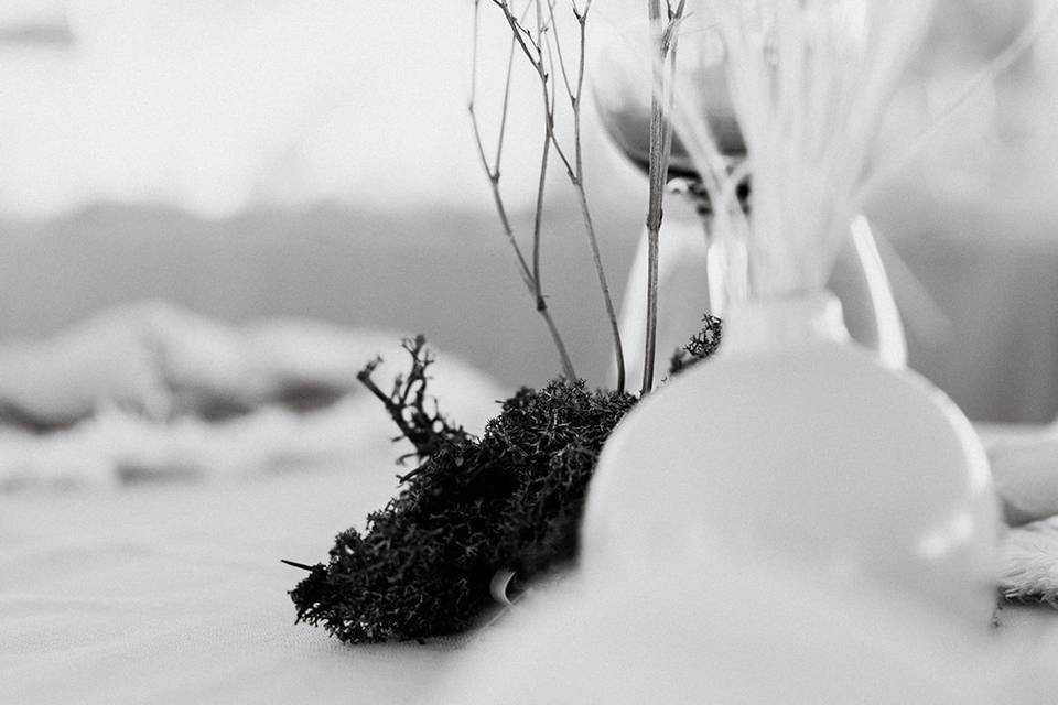 Dried florals black and white