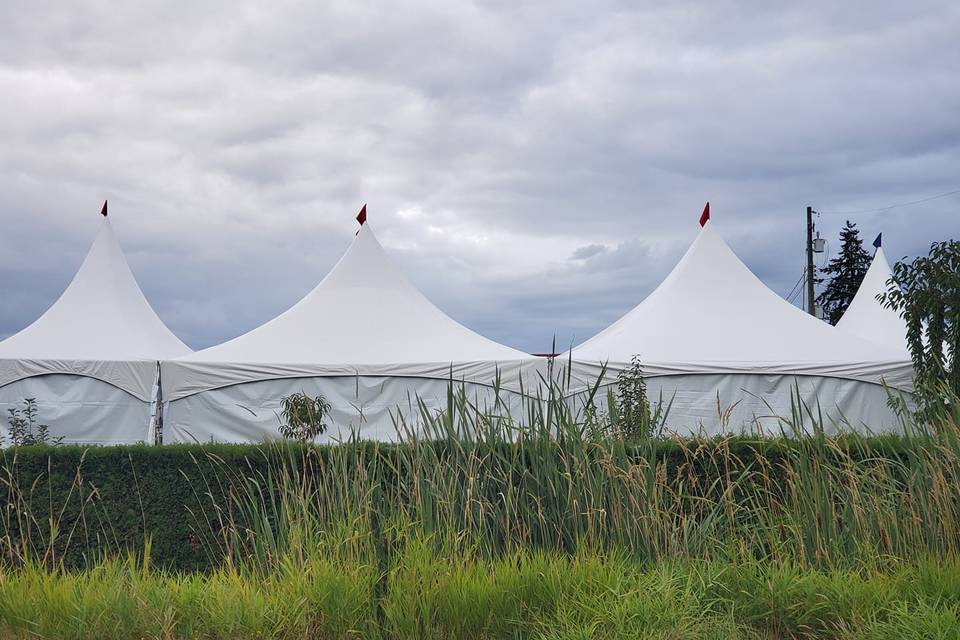 Divine Event and Tent Rentals Ltd