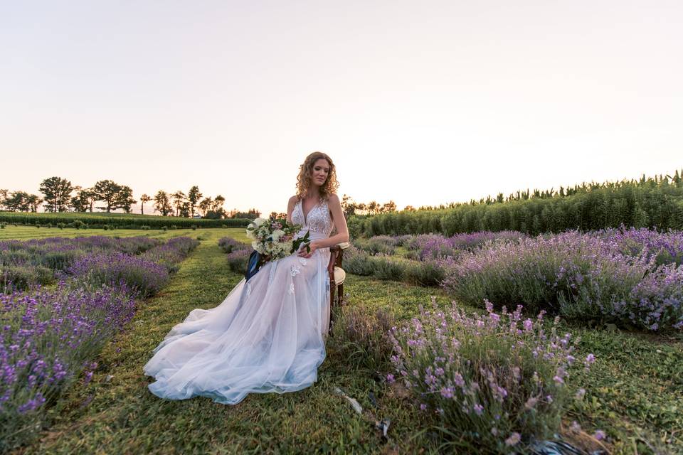 Lavender field bride