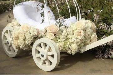 Cinderella Wagon