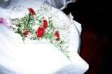 Wedding Passion