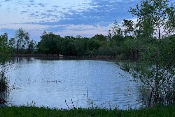 Pond views