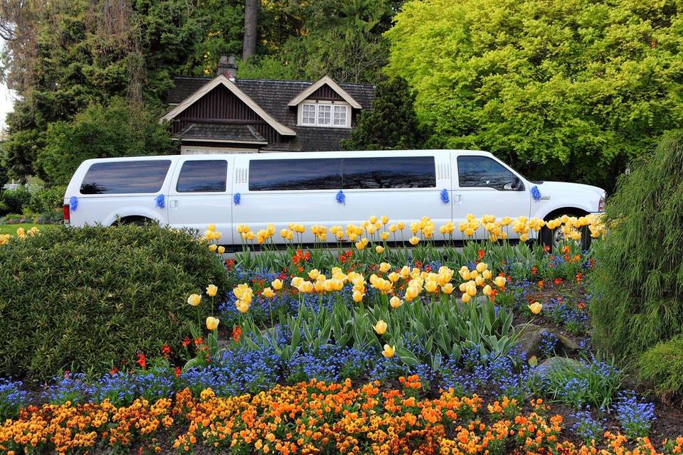 Wedding limo ride