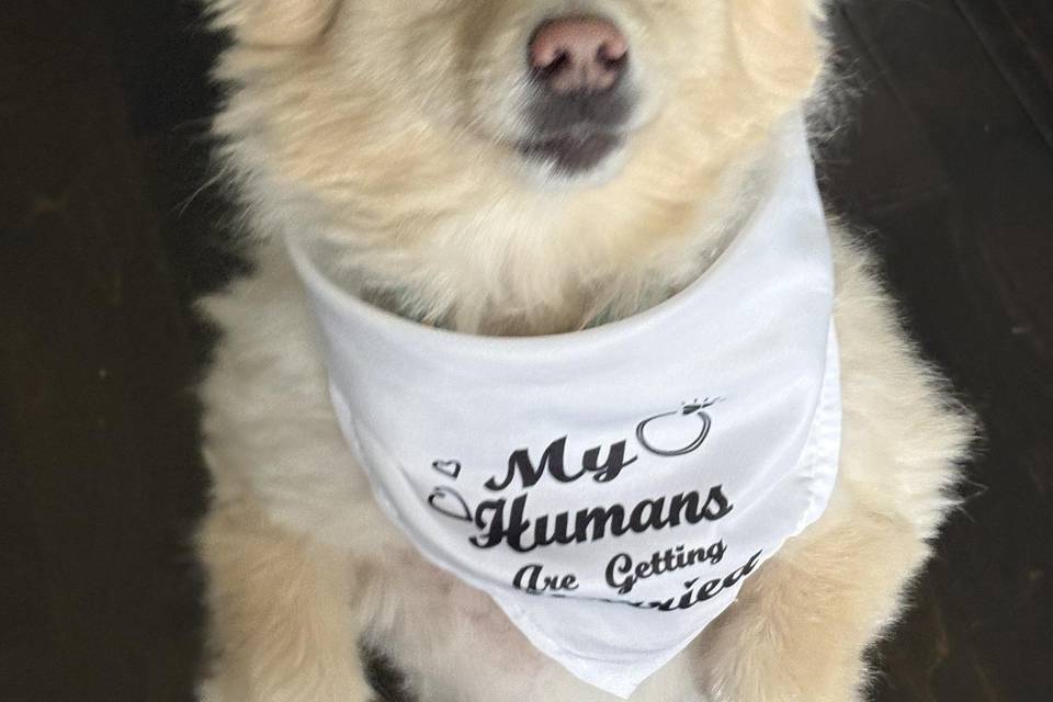 Cuteness