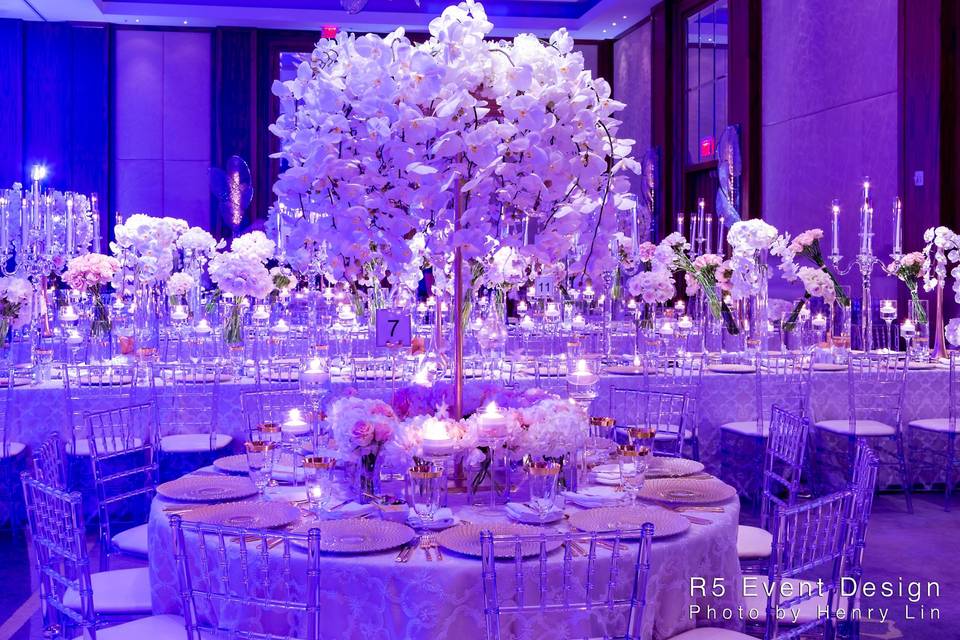 Orchid Wonderland Wedding