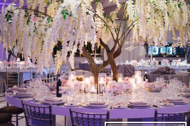 Wisteria Tree