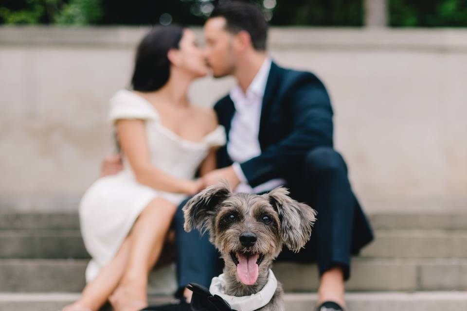 Cute portrait - North Story Weddings