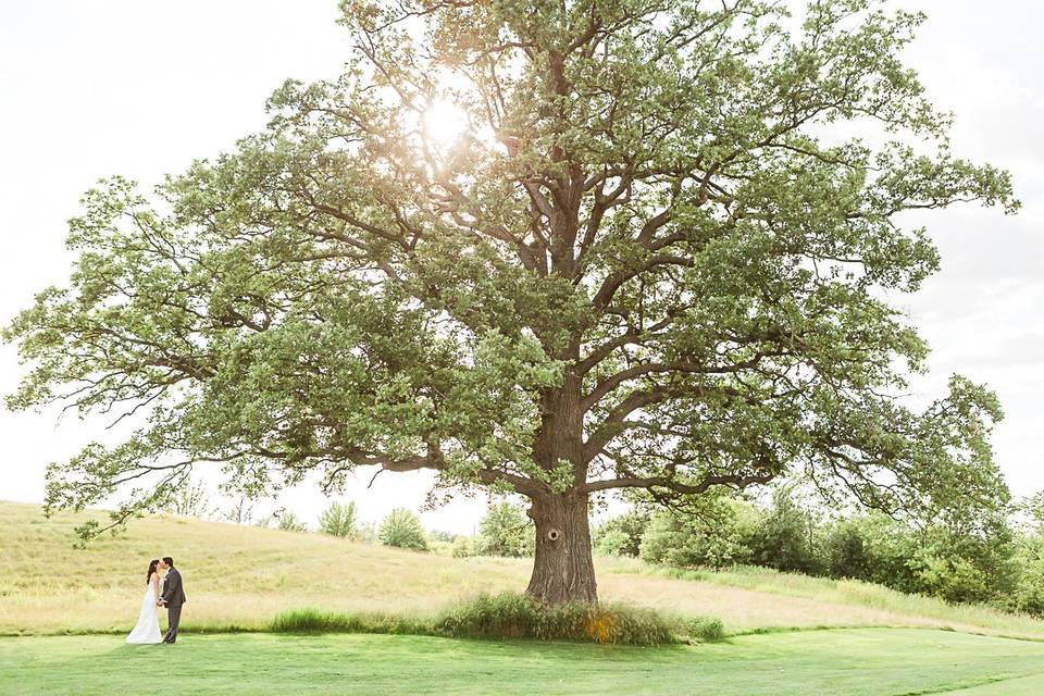 Cherry blossom Estates wedding