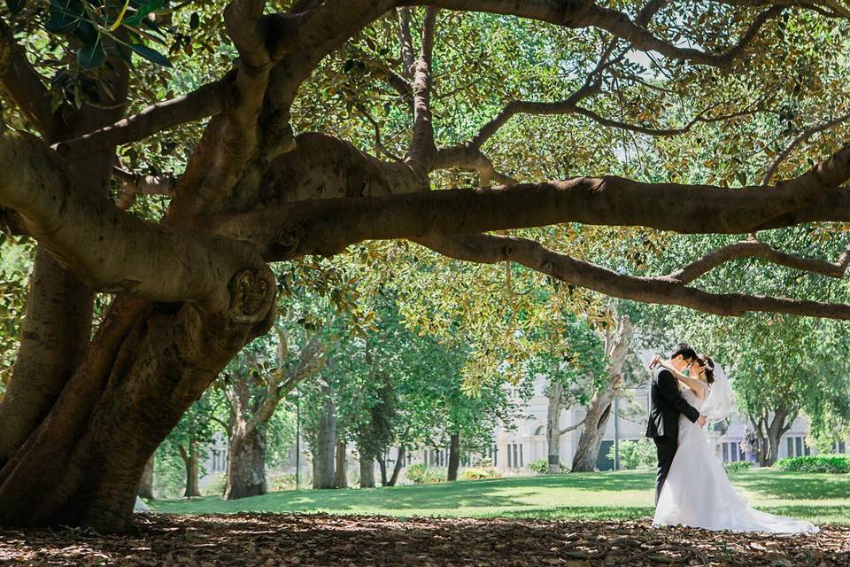 Melbourne wedding photographer