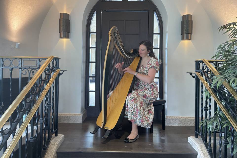 Harp at Banff Springs Hotel