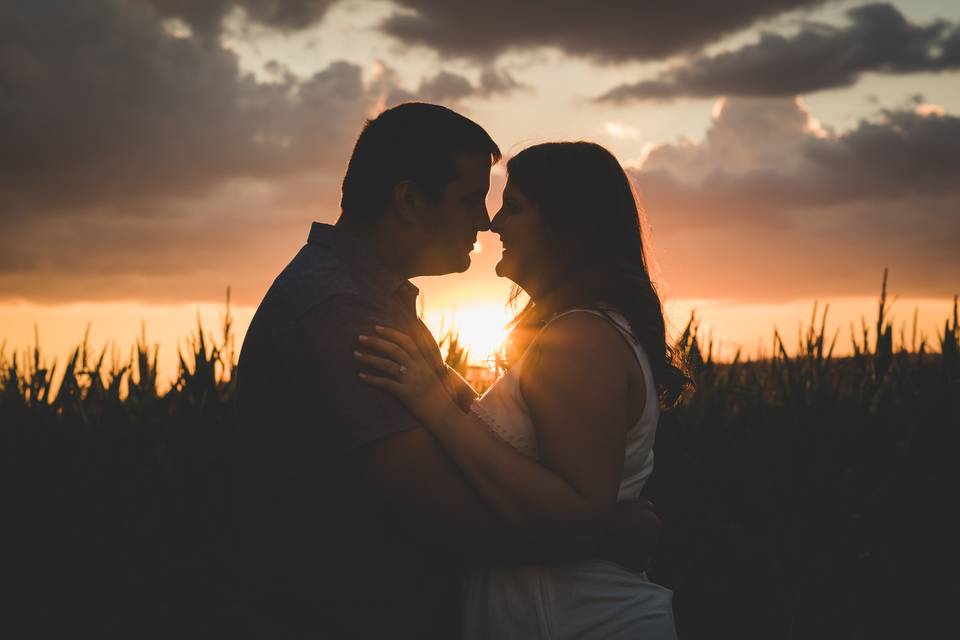 Farm engagement photo