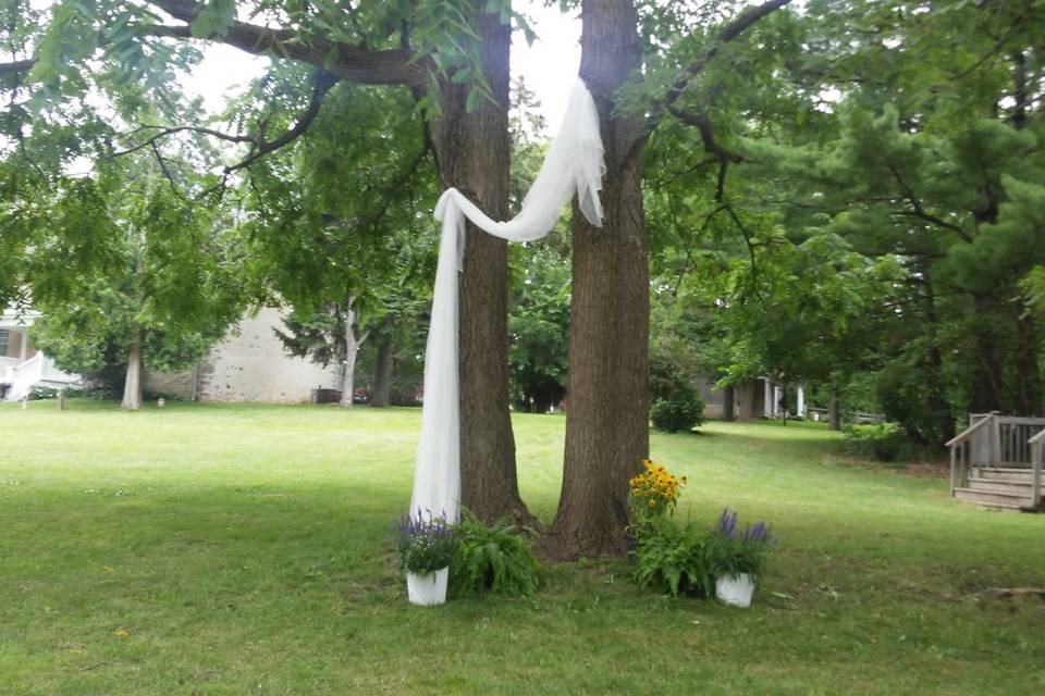Ceremony under walnut trees