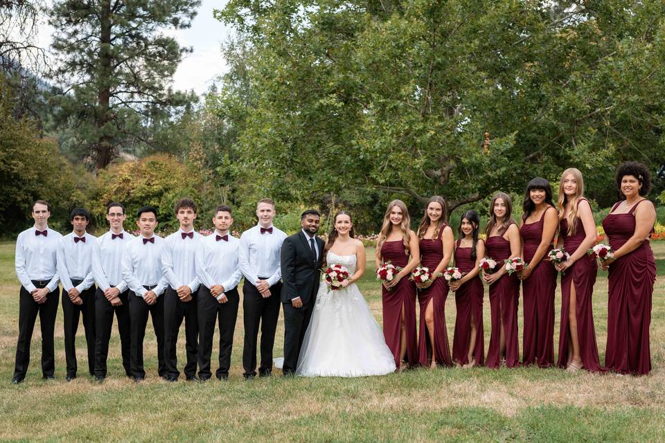 Wedding videographer