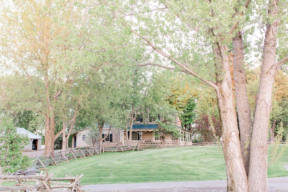 Looking at the Naismith House