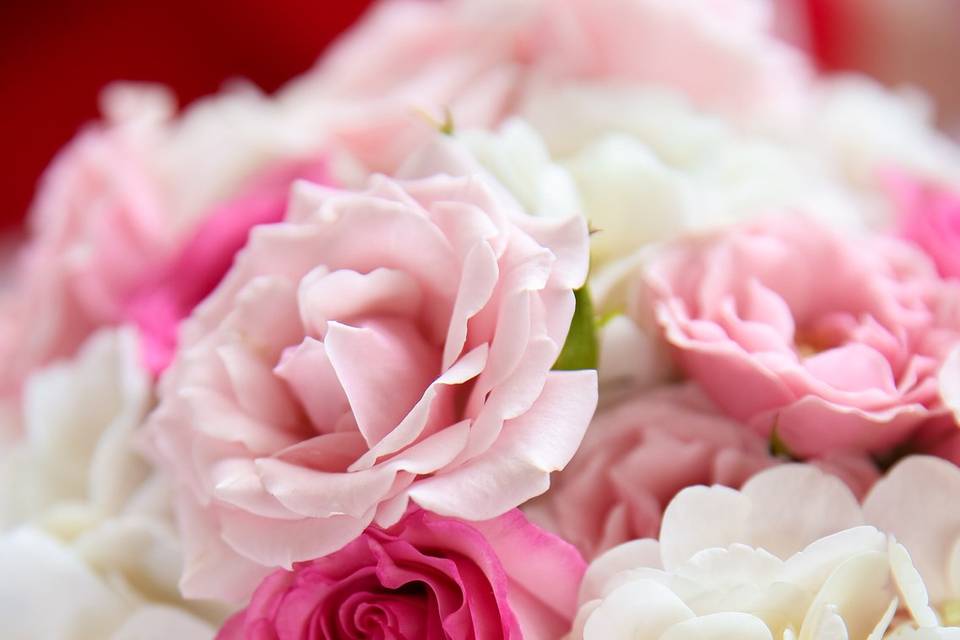 Pink roses and hydrangeas