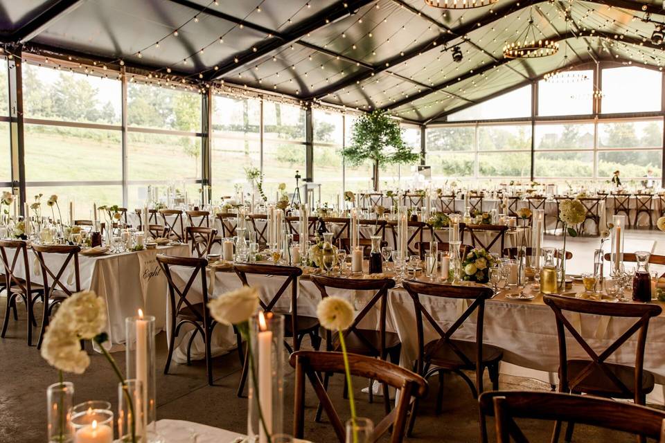 The Glass Tent