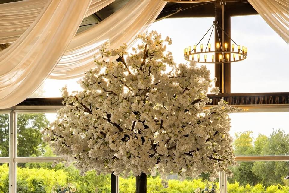 Glass Tent