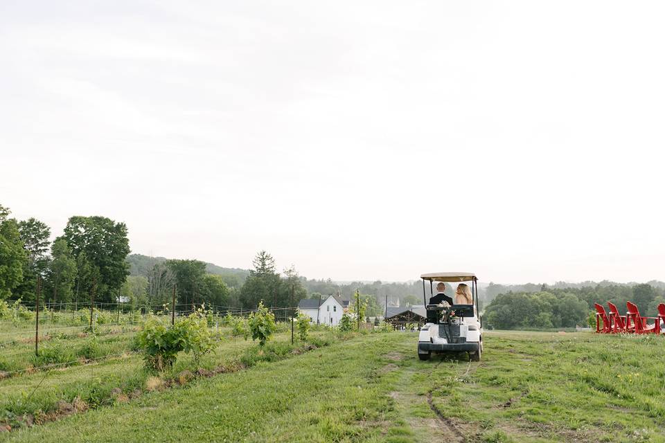 The Winery