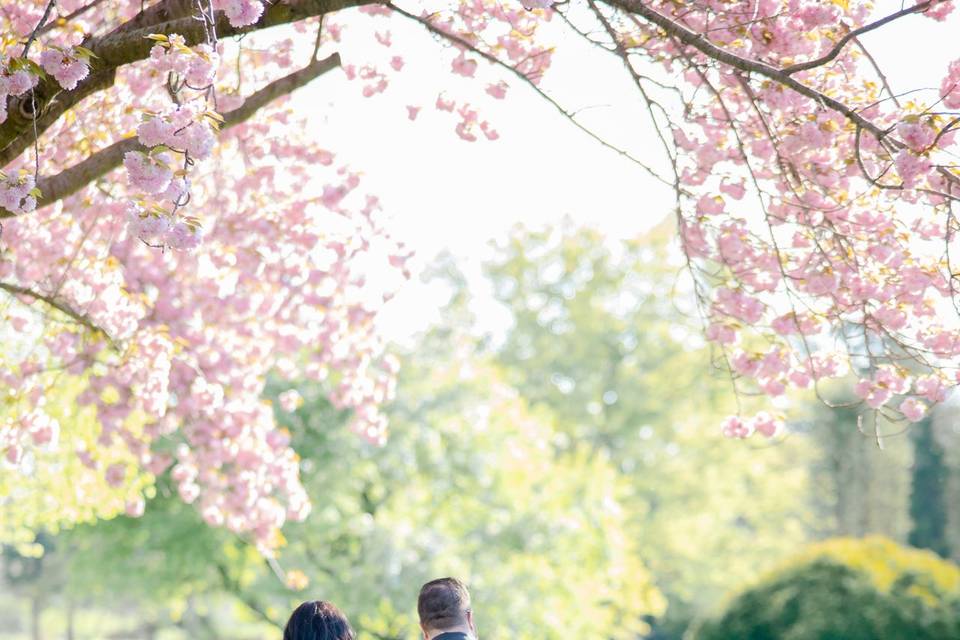 Walking into Forever Together