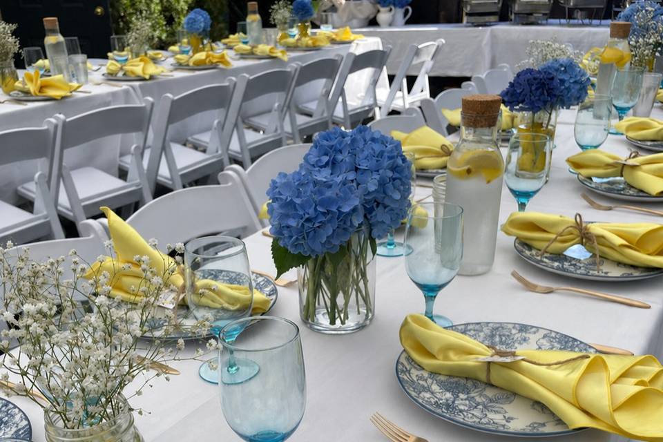Engagement party 4