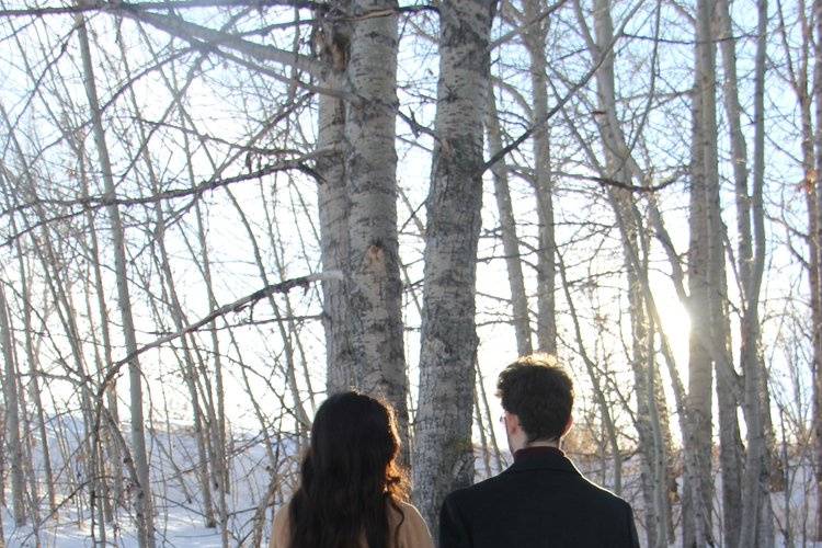 Wedding and Engagement