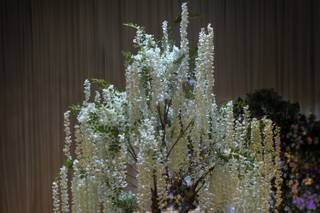Chic Wed Decor