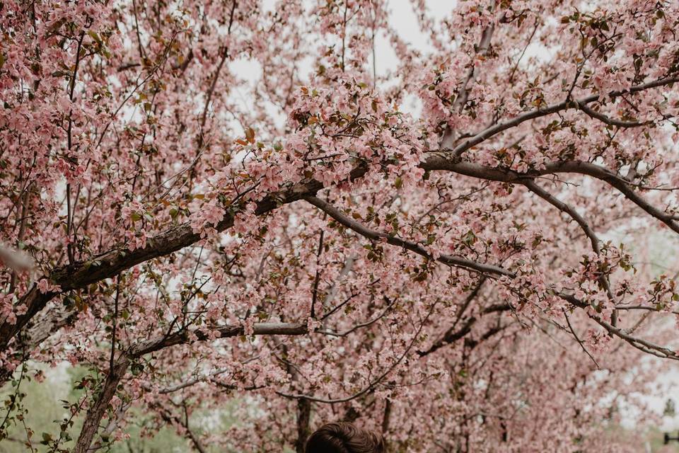 Couple blossoms