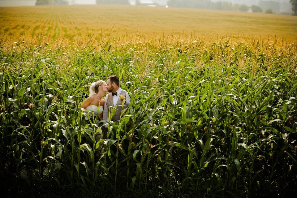 Farm Wedding