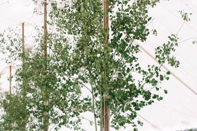 Tent decor with trees