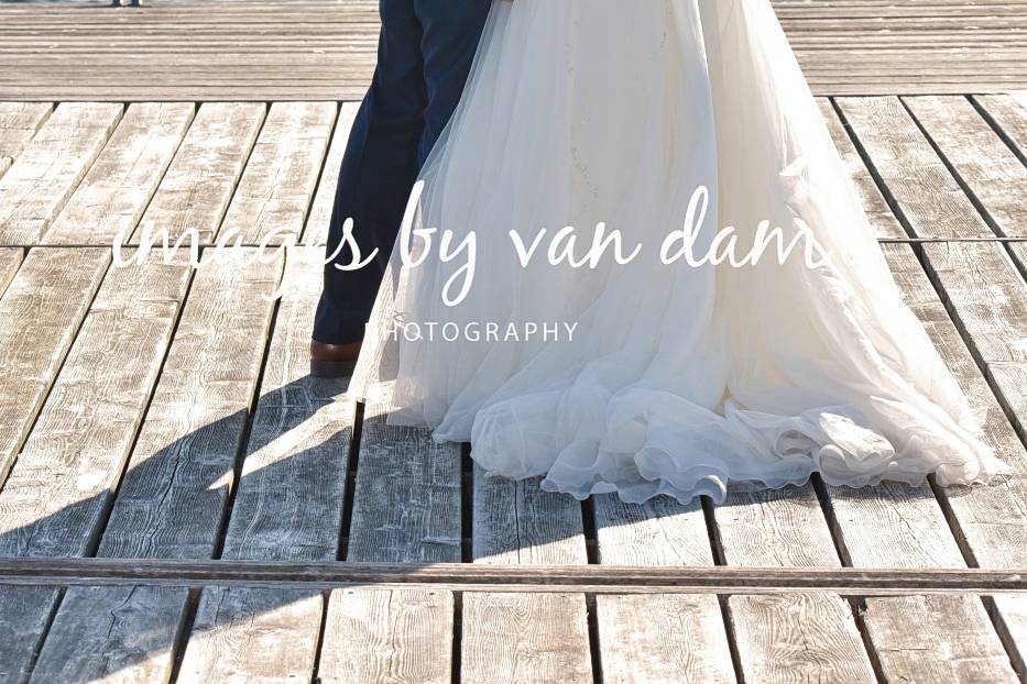 Images by van Dam