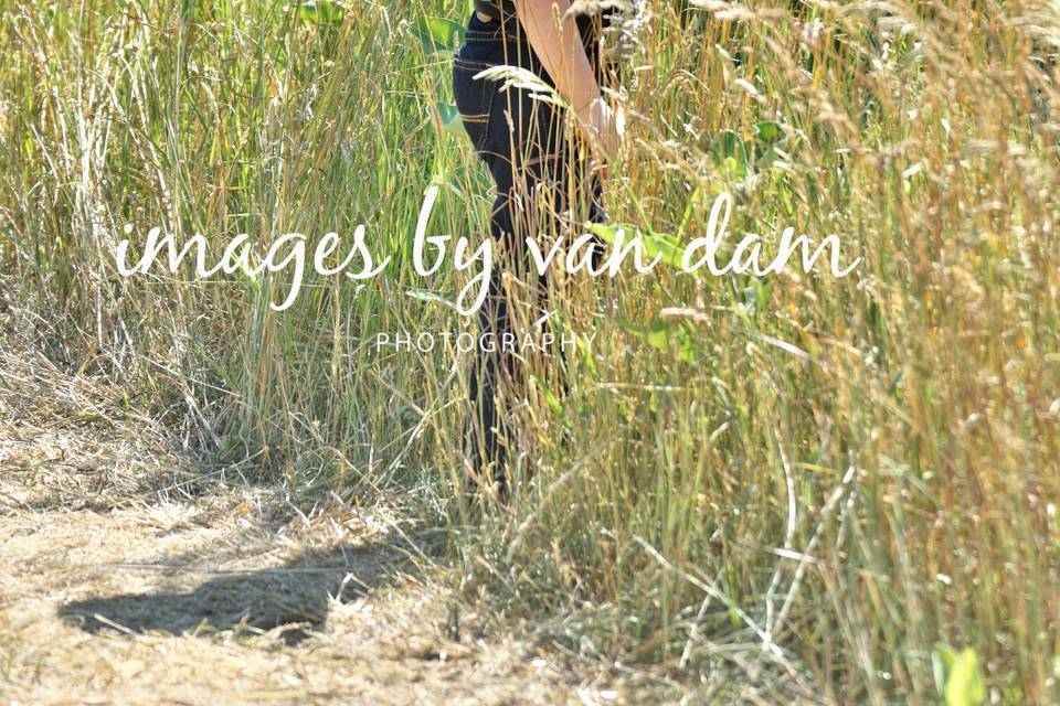 Images by van Dam