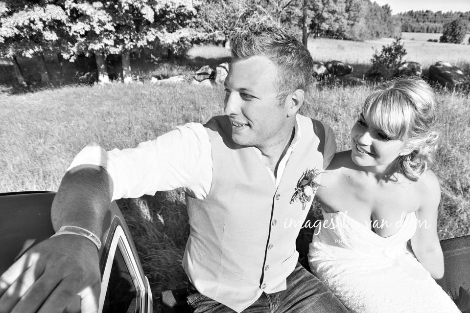 Wedding Party in Bed of Truck