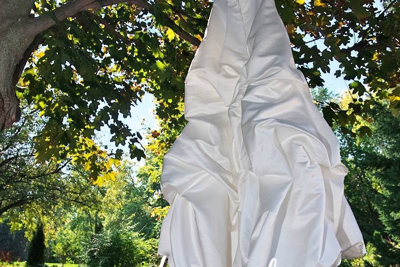 Bride's Dress Hangs in Tree