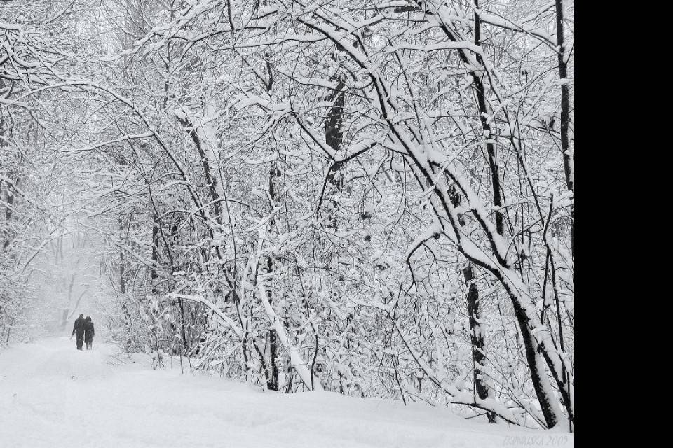 Winter in the Highlands