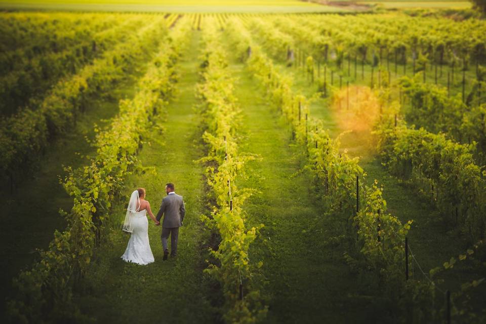 Winery Wedding Photography