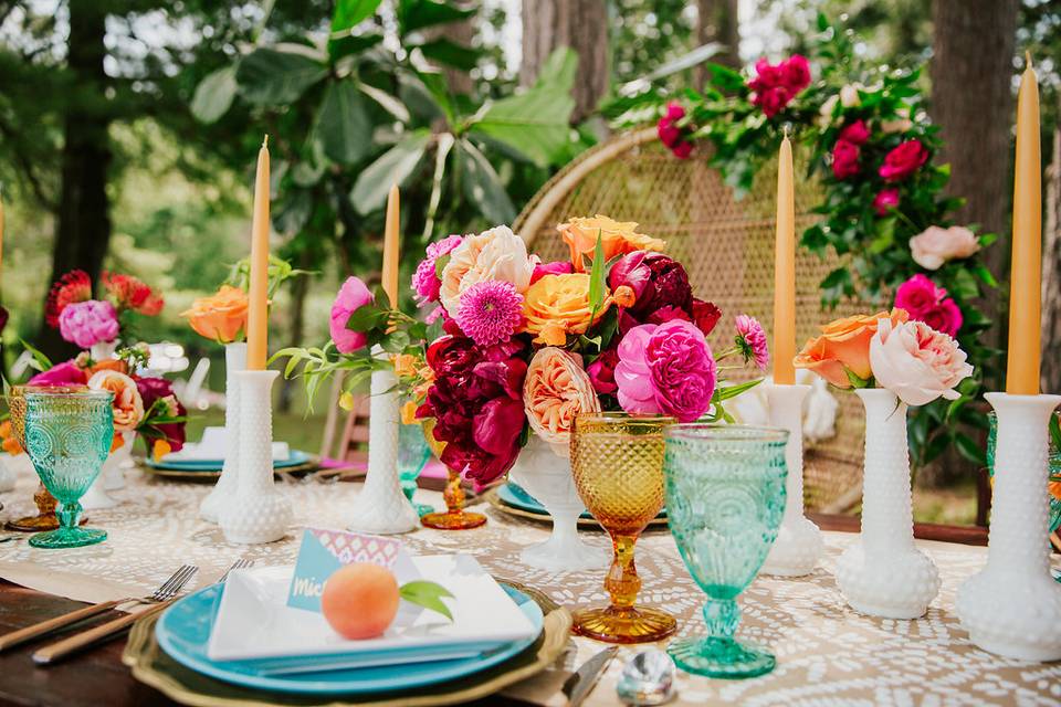 Colourful garden roses