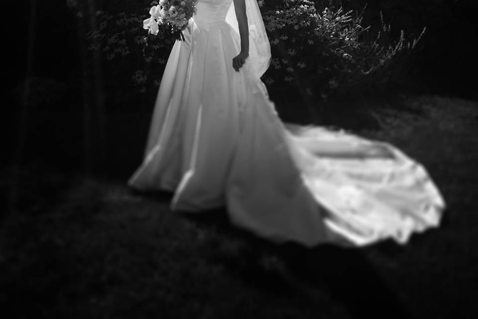 Andrew McLaughlin Photography